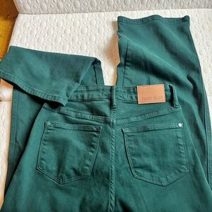 Judy Blue Olive Denim Pants